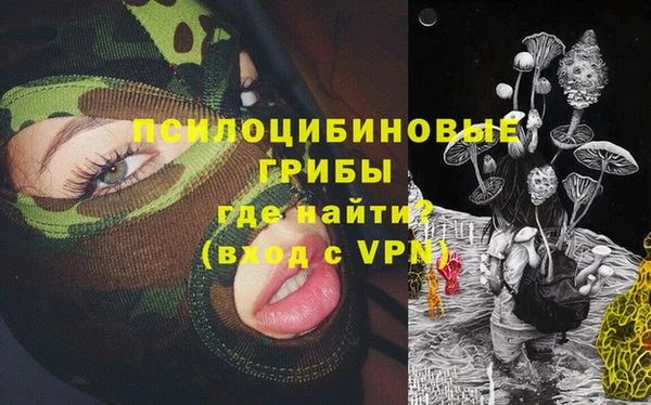 эйфоретик Ладушкин