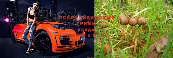 эйфоретик Ладушкин