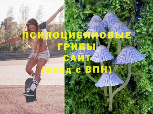 2c-b Лиски
