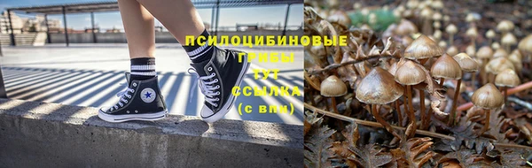 эйфоретик Ладушкин