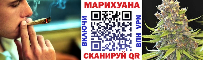 Бошки марихуана AK-47  Купить закладки  Пудож 